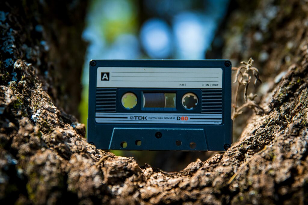 Retro cassette tape resting in a tree crevice under sunlight, showcasing technology nostalgia.